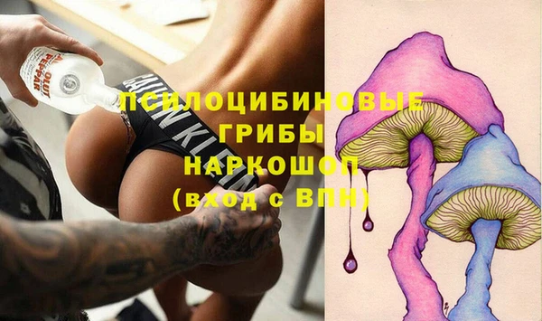 индика Абдулино