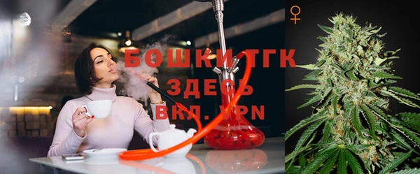 индика Абдулино