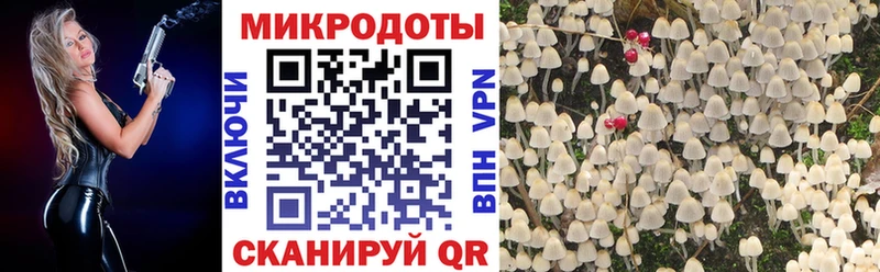 Псилоцибиновые грибы прущие грибы  kraken как войти  Киров 